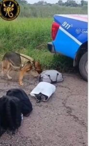 CONTROL EN RUTA 16: EL PERRO “SACHA” DETECTÓ DROGA EN LA MOCHILA DE UN PASAJERO