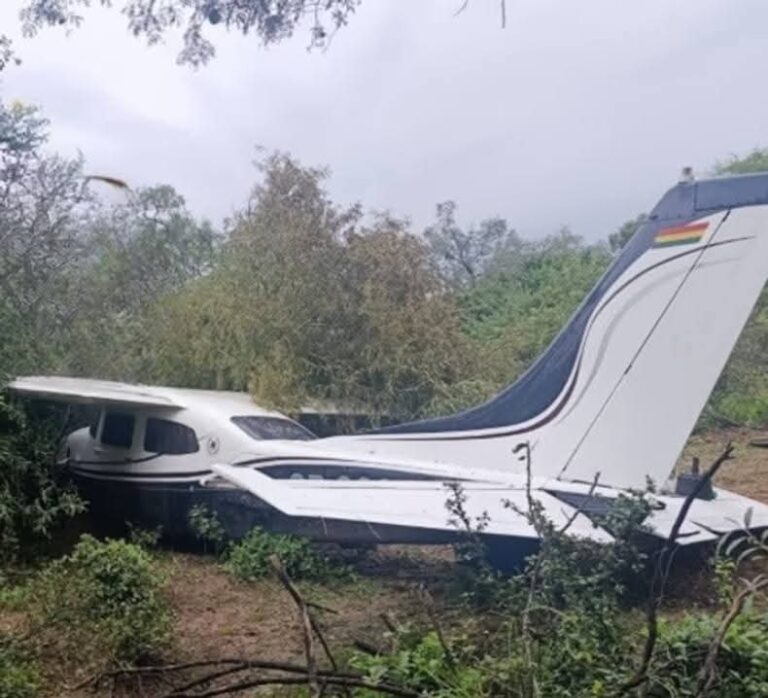 Salta: hallan avioneta abandonada con matrícula borrada