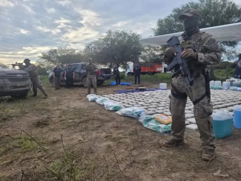 Santa Fe: secuestran 400 kilos de cocaína de una avioneta