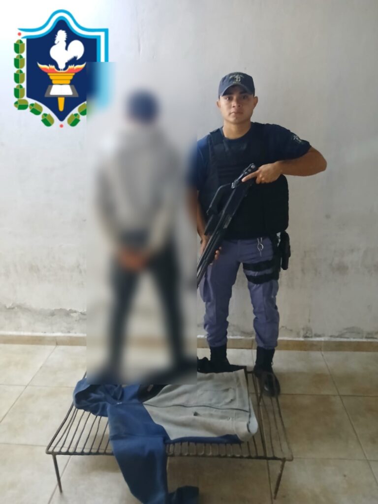 Presidencia de La Plaza: cayó por robar una parrilla