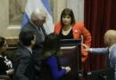 FUERTE REVÉS PARA MILEI EN EL SENADO: APROBARON EL PLIEGO DE LA JUEZA QUE LA CASA ROSADA QUERÍA FRENAR