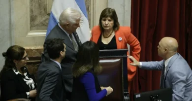 FUERTE REVÉS PARA MILEI EN EL SENADO: APROBARON EL PLIEGO DE LA JUEZA QUE LA CASA ROSADA QUERÍA FRENAR