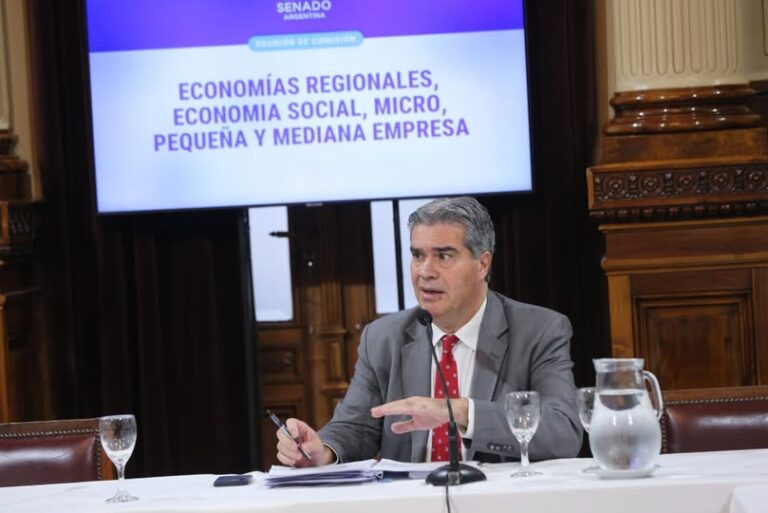 CAPITANICH PRESIDIRÁ LA COMISIÓN DE ECONOMÍAS REGIONALES DEL SENADO