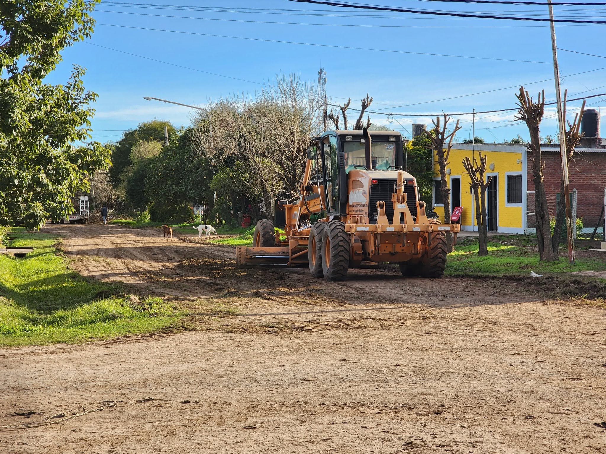 Colonia Elisa: el Municipio intensifica los trabajos de limpieza y mantenimiento en los barrios