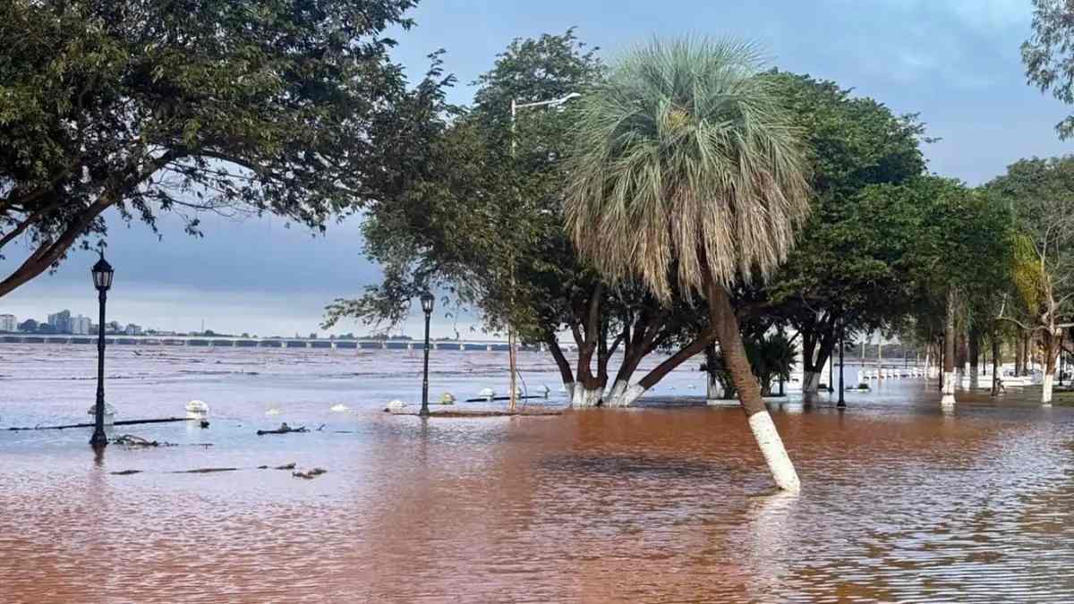 Paso de los Libres: el río Uruguay superó el nivel de evacuación y siete familias debieron abandonar sus hogares