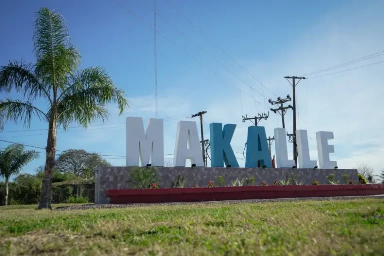 Makallé: secuestran un arma y más de 100 municiones durante un allanamiento por una causa de violencia de género