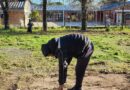 El Municipio de Colonia Elisa realizó trabajos de limpieza y mantenimiento en la Escuela de Formación Profesional N.º 55