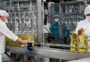 Aceiteros acordaron una suba salarial del 44,5%: el sueldo básico superará los $1,8 millones desde septiembre