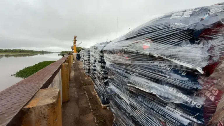 Desde el Puerto de Barranqueras exportaron 16 toneladas de carbón vegetal con destino a Noruega