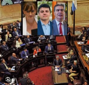 Propiedad privada: la votación en el Senado expuso cómo se alinearon los representantes chaqueños frente al Gobierno de Milei