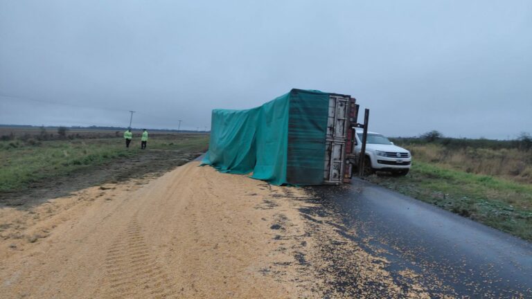 Camión cargado con maíz volcó sobre la Ruta 5 y bloqueó ambos carriles cerca de General Pinedo
