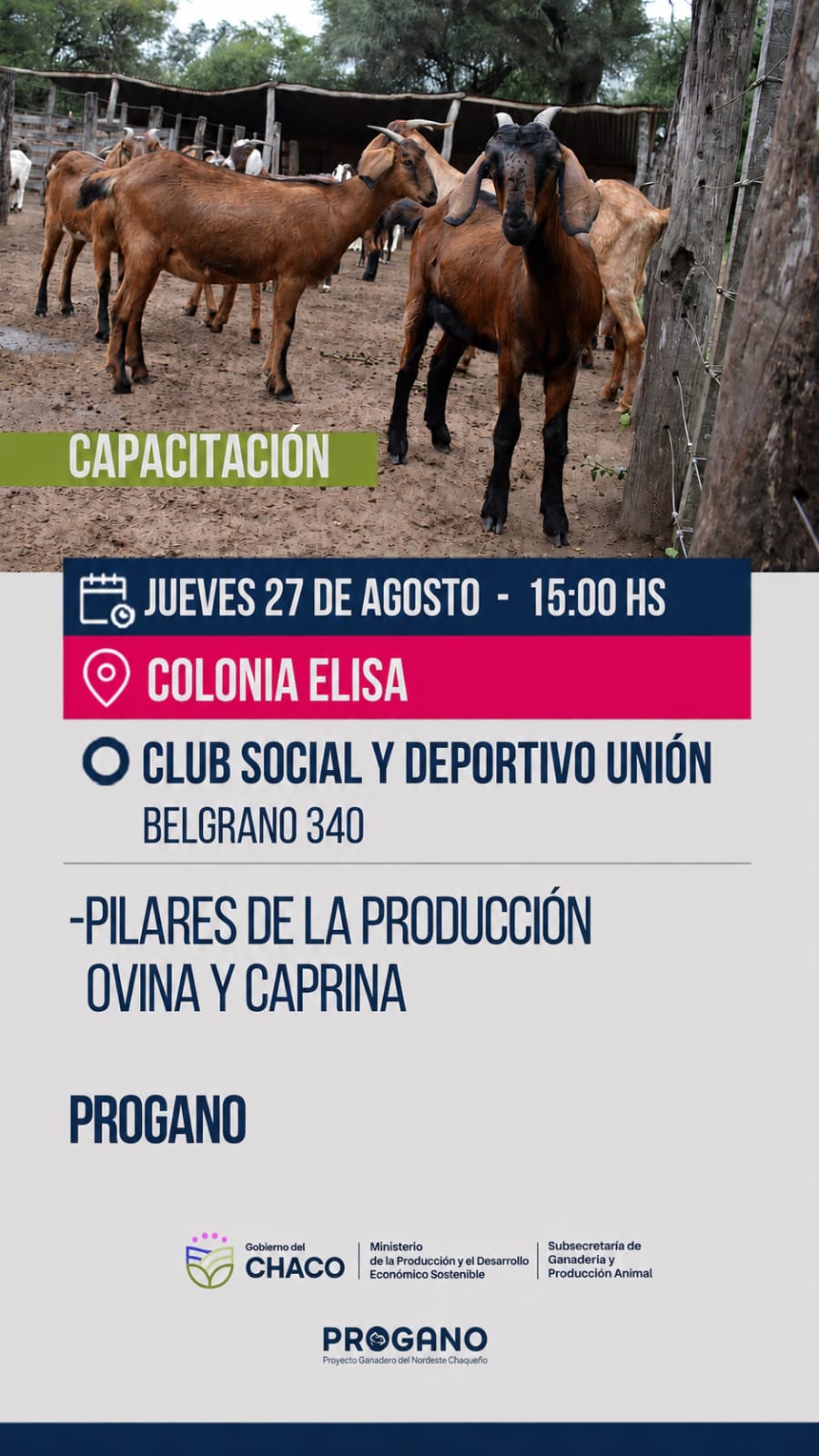 Colonia Elisa: convocan a productores a una capacitación sobre producción ovina y caprina
