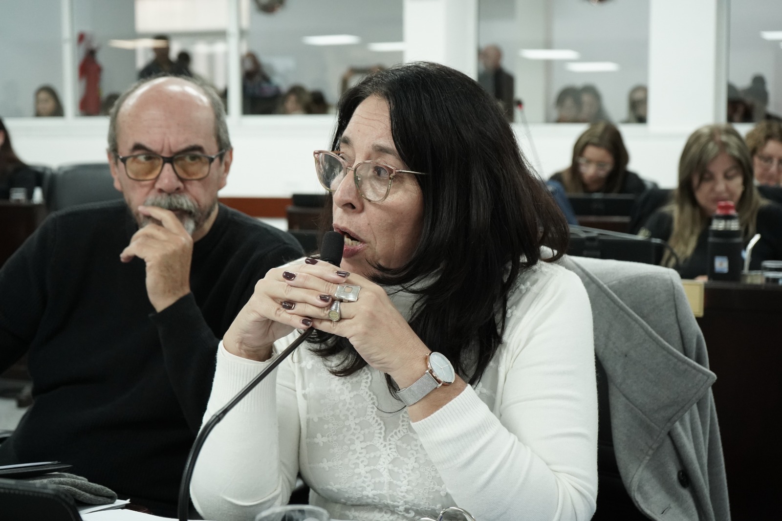 Diputados aprobó la ley de reiterancia en Chaco: Analía Flores se abstuvo y advirtió que “la seguridad no se resuelve con atajos”