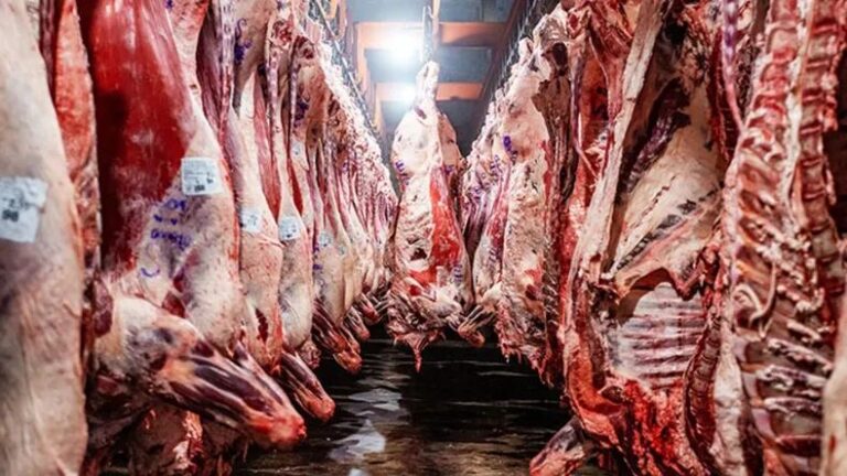 Histórico desplome del consumo de carne vacuna: cayó a 46,3 kilos por habitante y marcó un mínimo en más de 20 años