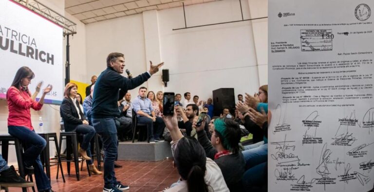 Zdero vuelve a impulsar la suspensión de las PASO y el archivo reabre el debate sobre su postura cuando era oposición