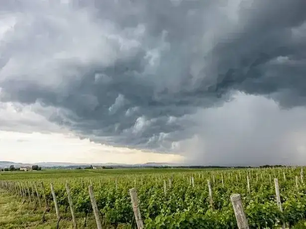 Formosa desarrolla una plataforma para anticipar qué campos podrían quedar anegados ante El Niño