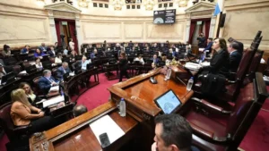 Senadores nacionales cobrarán más de $13 millones brutos desde enero de 2027 tras una nueva actualización