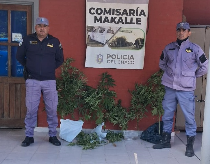Makallé: una denuncia anónima derivó en el secuestro de nueve plantas de cannabis