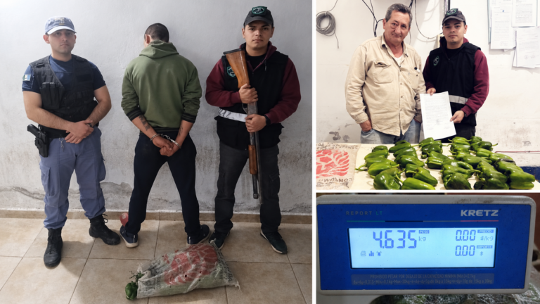 Presidencia de la Plaza: demoraron a un hombre y recuperaron más de 4 kilos de morrones tras una denuncia por hurto