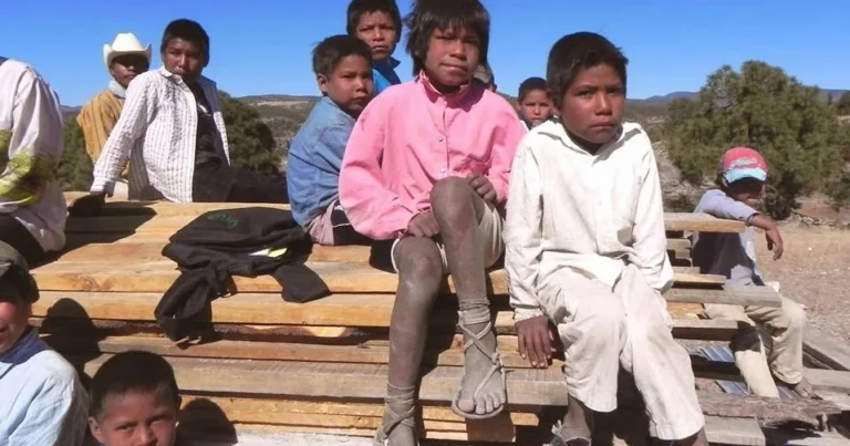 El Chaco que duele: un alumno llegó sin comer a la escuela y el relato interpela a la gestión de Zdero