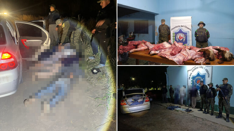 General Capdevila: cuatro detenidos y 280 kilos de carne secuestrados tras un operativo contra el abigeato